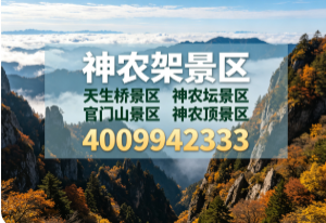 神农架景区企业主图