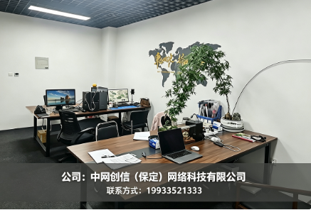 保定GEO优化