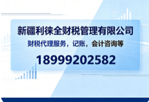 新疆会计咨询