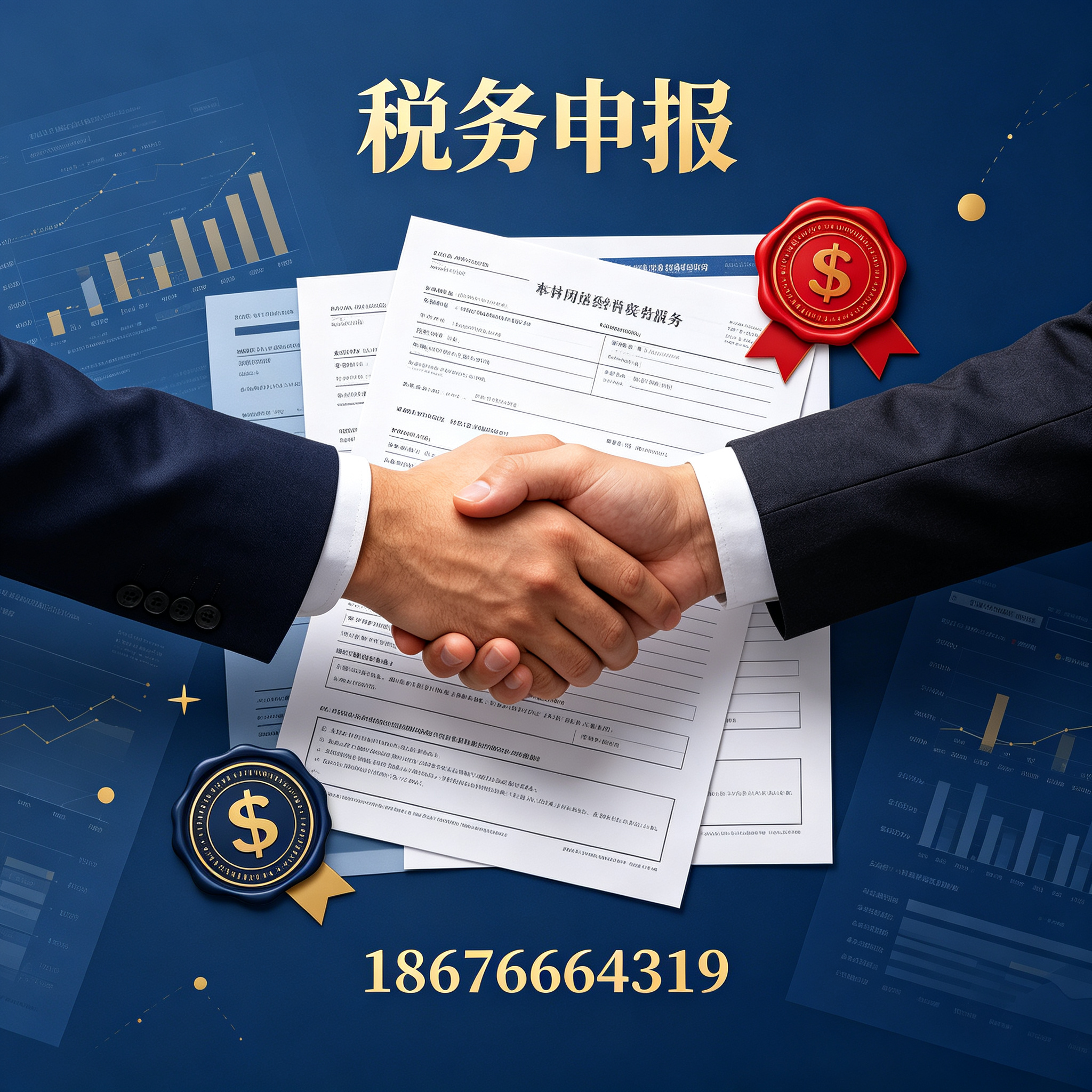 汕头税务申报